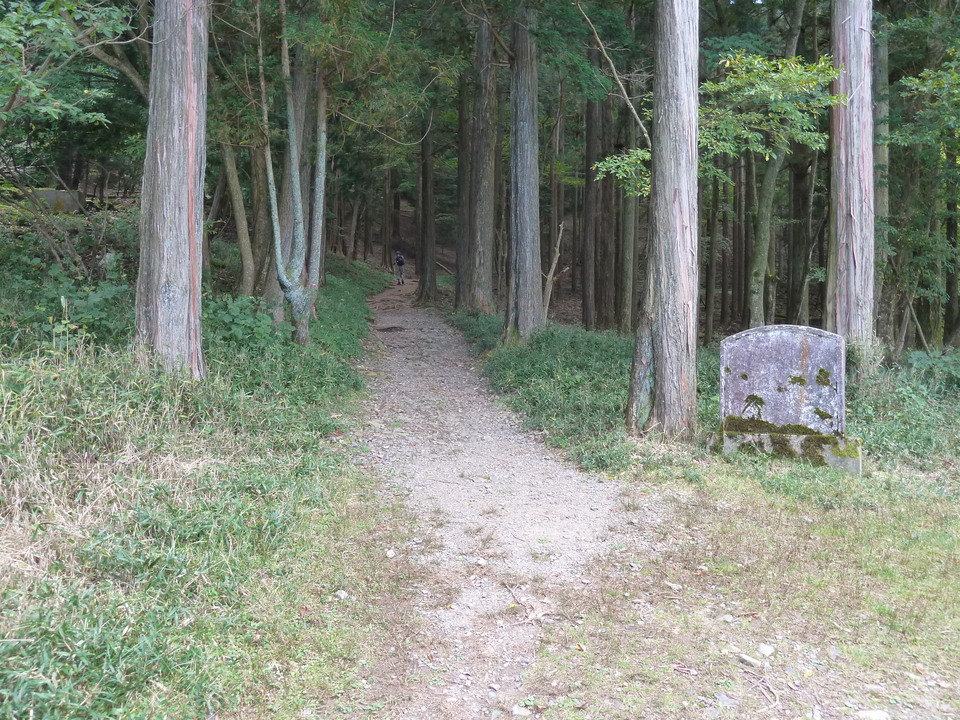 P1120608_mid.jpg