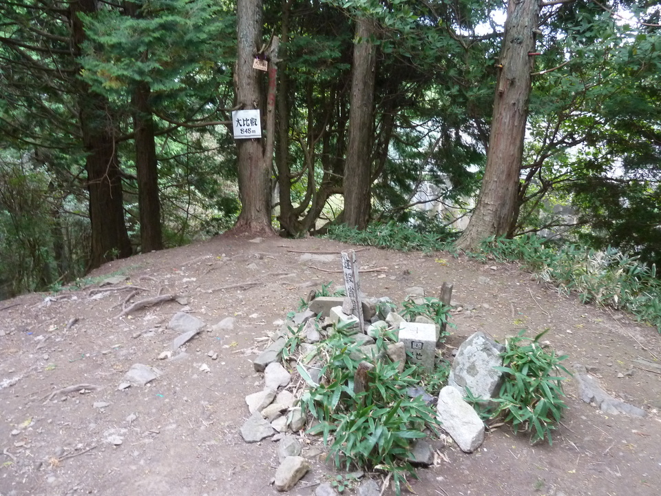 P1120668_mid.jpg