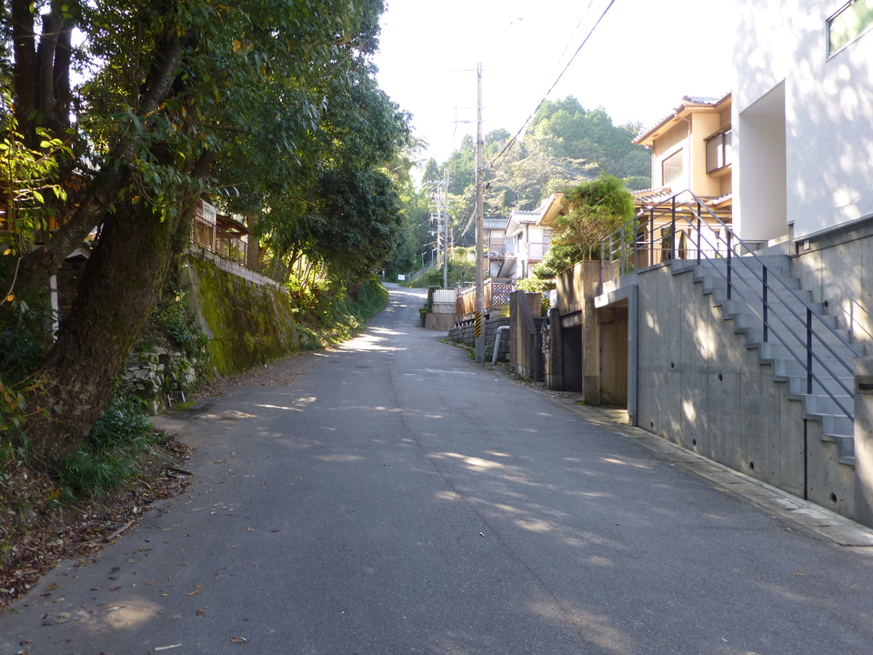 P1030185_mid.jpg