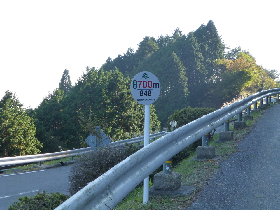 P1030198_mid.jpg