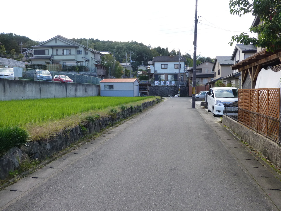 P1030293_mid.jpg