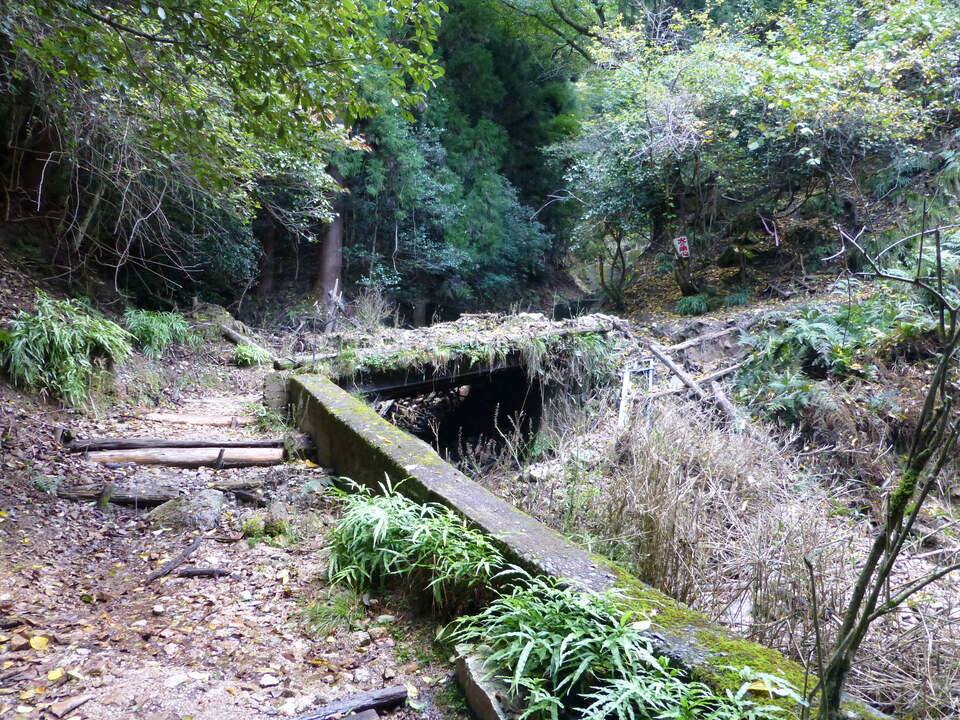 P1030325_mid.jpg