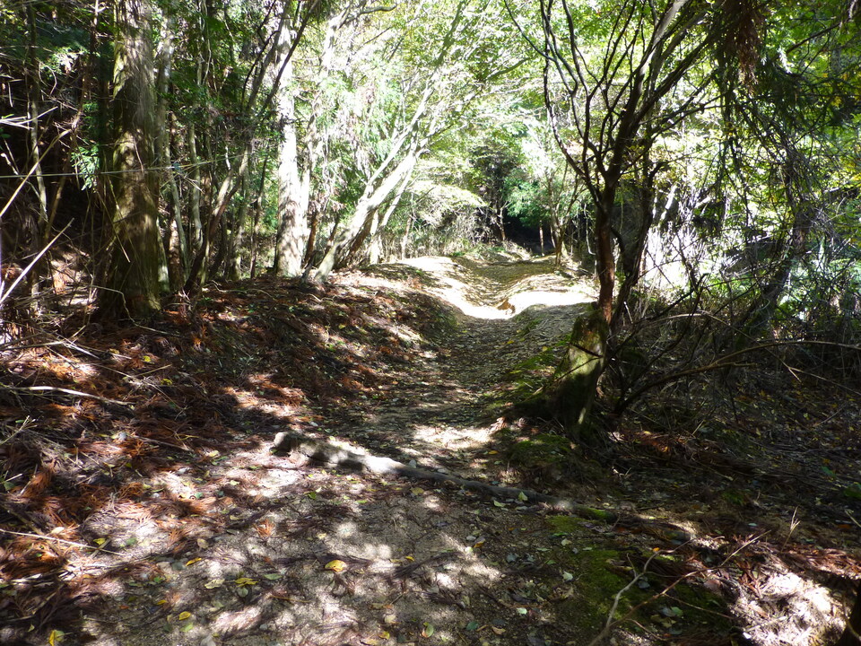 P1030348_mid.jpg