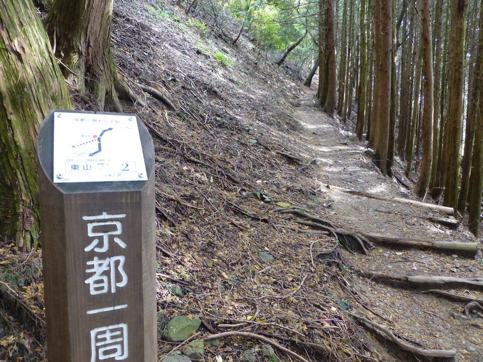 P1030374_mid.jpg