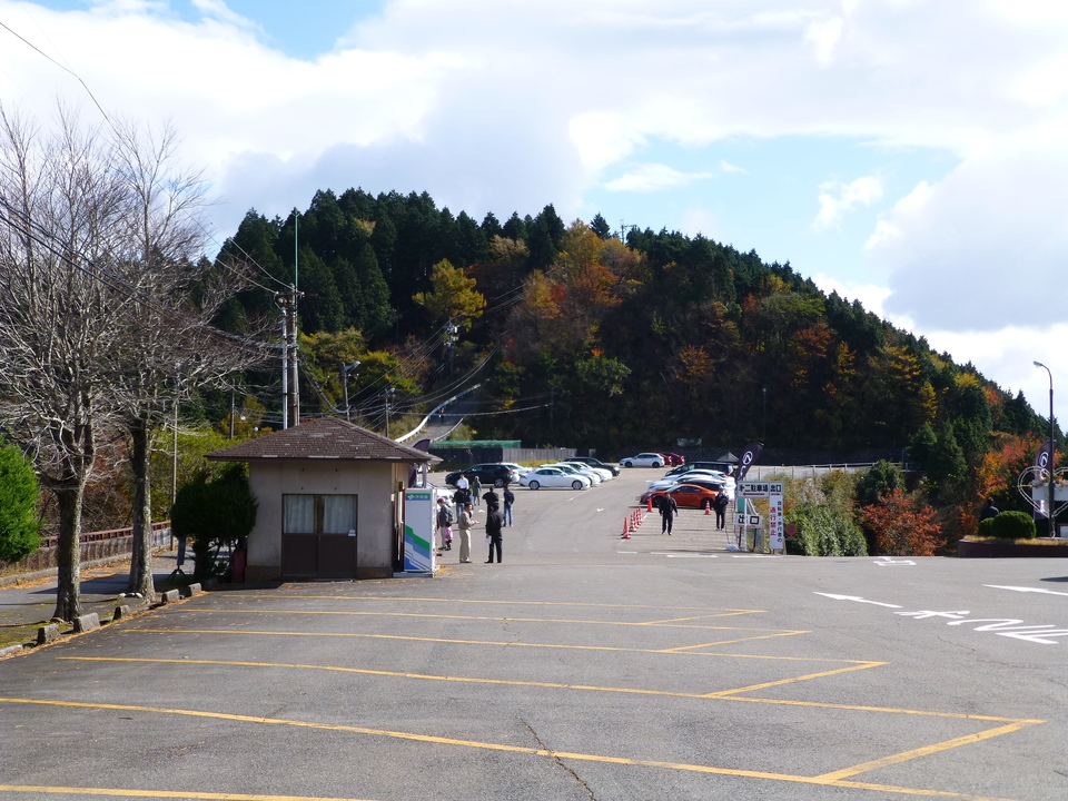 P1030415_mid.jpg