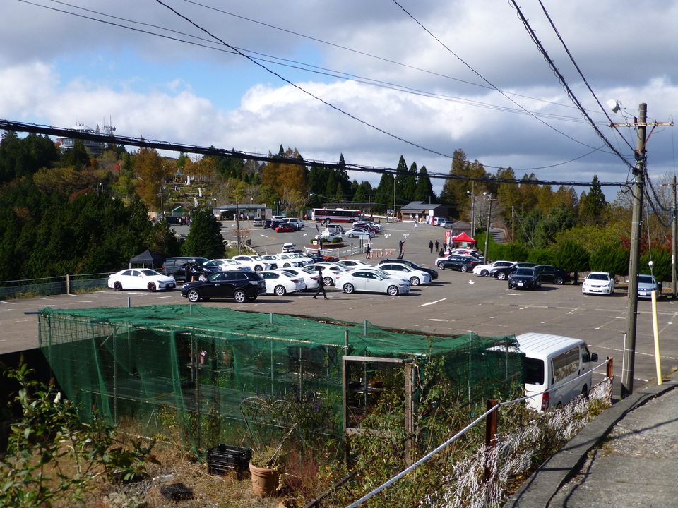 P1030418_mid.jpg