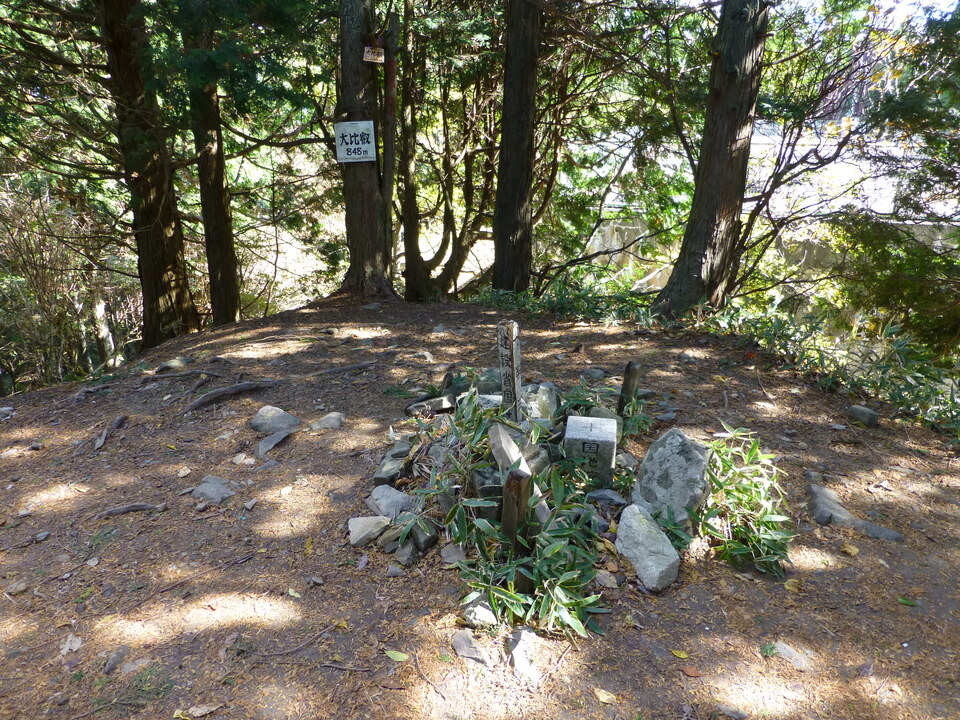 P1030424_mid.jpg