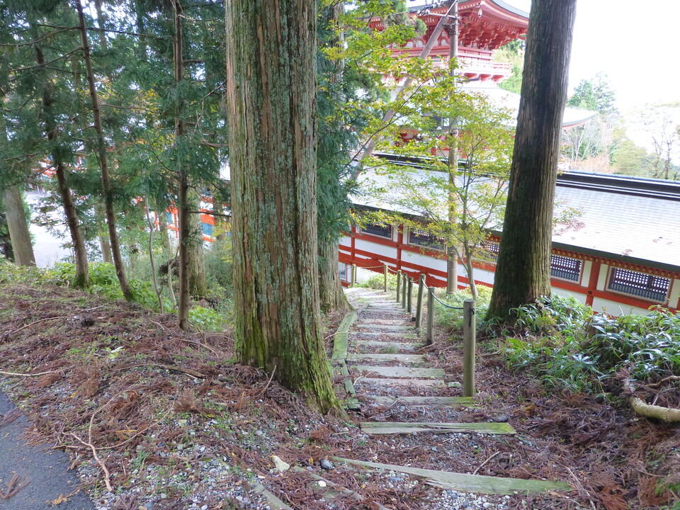 P1030445_mid.jpg