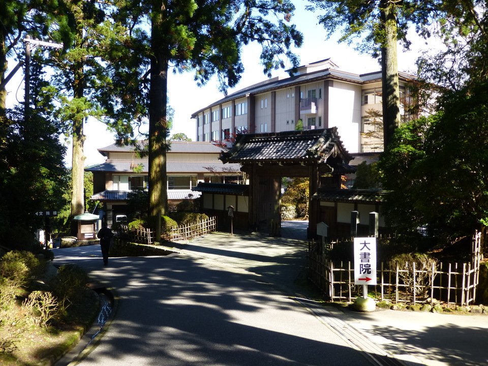 P1030457_mid.jpg