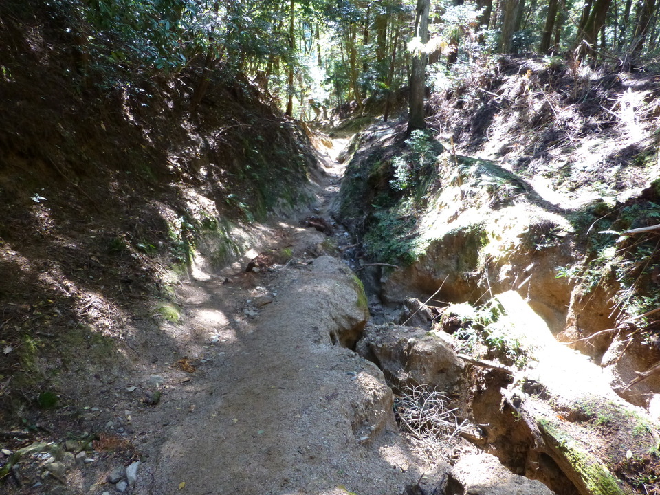 P1030473_mid.jpg