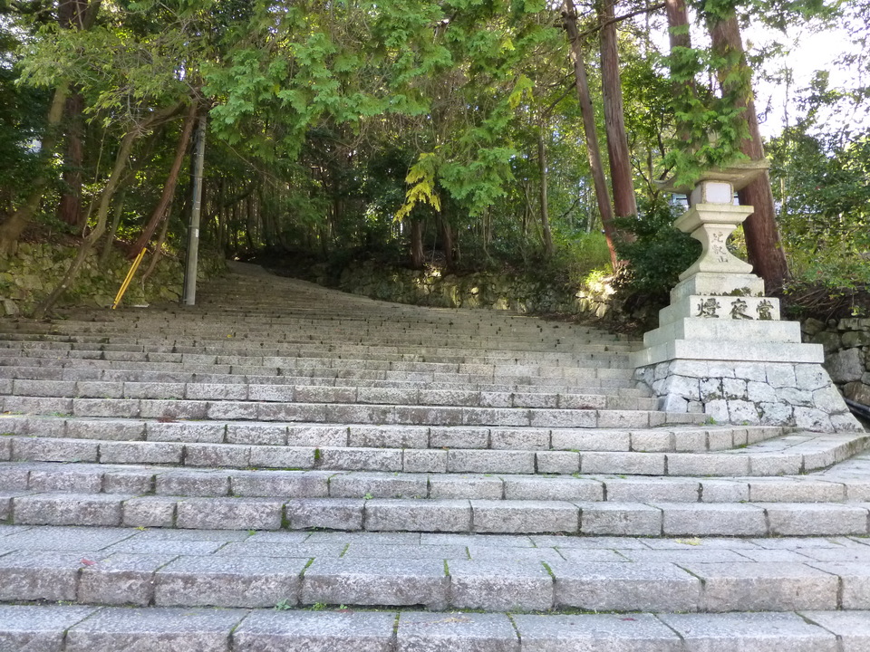 P1030494_mid.jpg