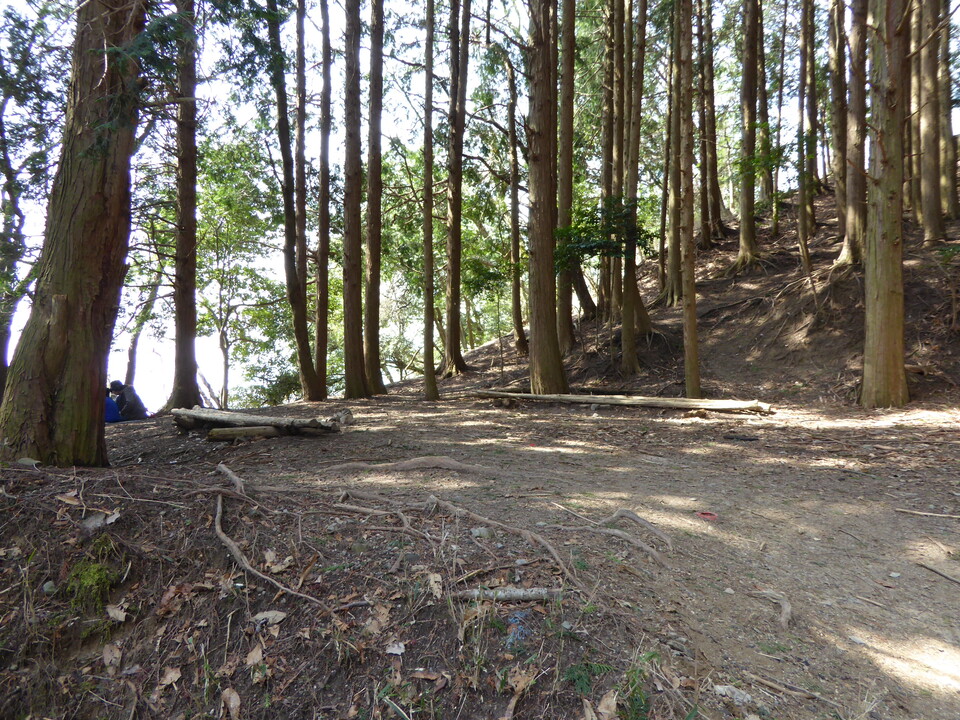 P1000603_mid.jpg