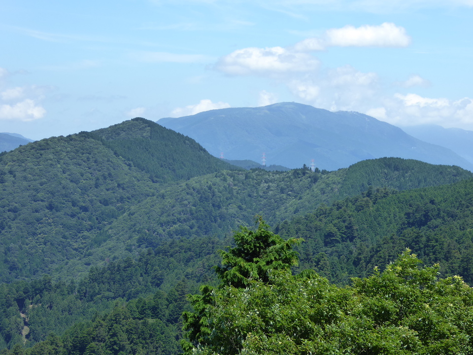 P1020855_mid.jpg