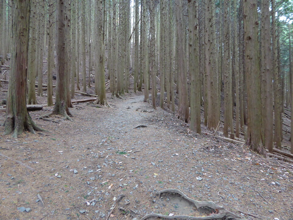P1040883_mid.jpg