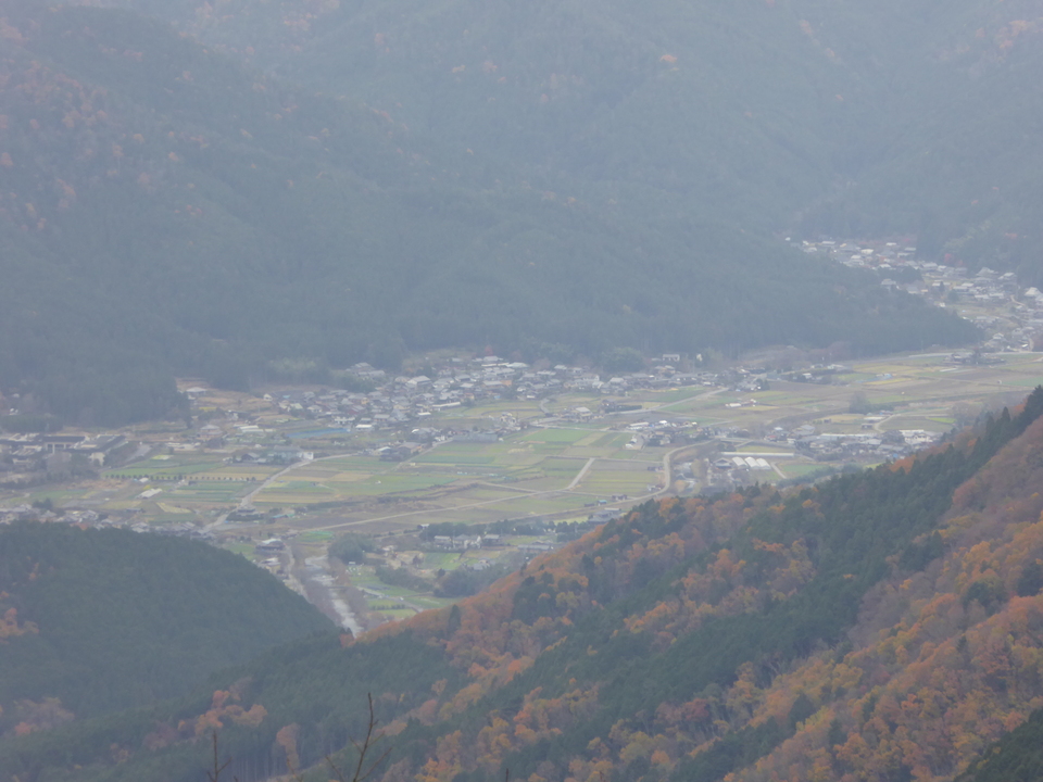 P1040899_mid.jpg