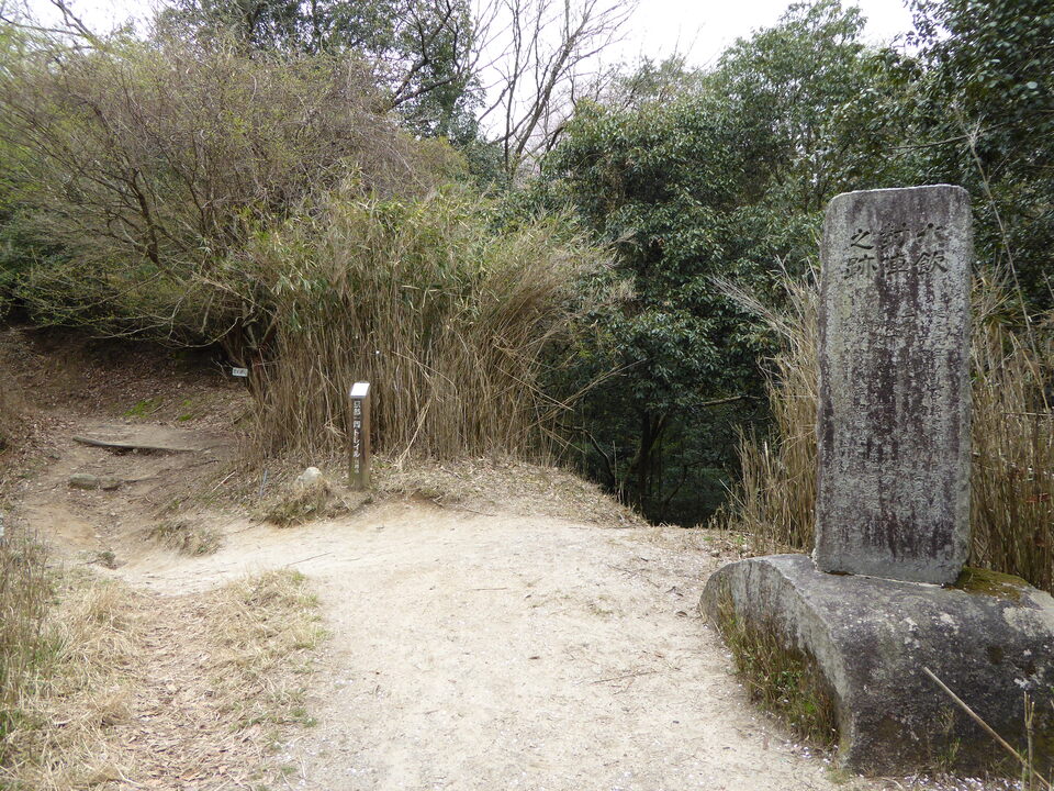 P1050440_mid.jpg