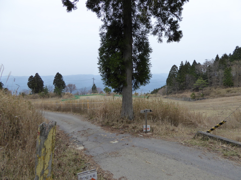 P1050443_mid.jpg