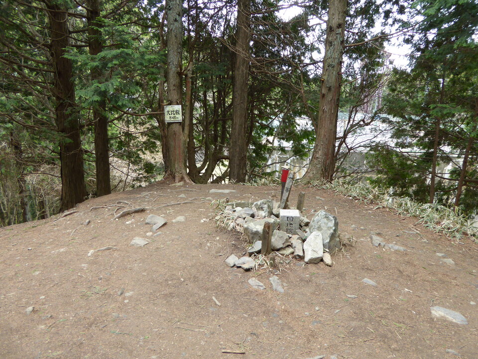 P1050451_mid.jpg
