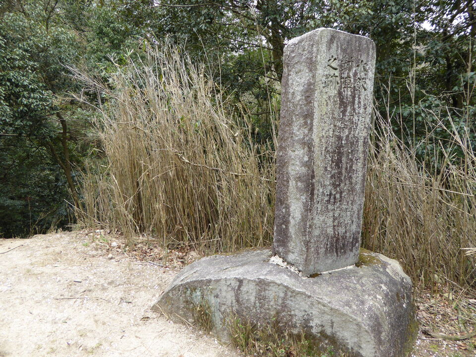 P1050460_mid.jpg