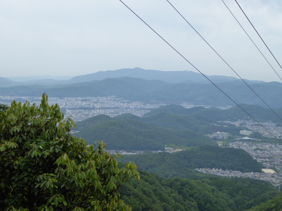 P1050984_mid.jpg