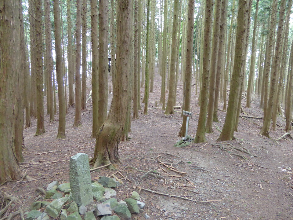 P1050988_mid.jpg