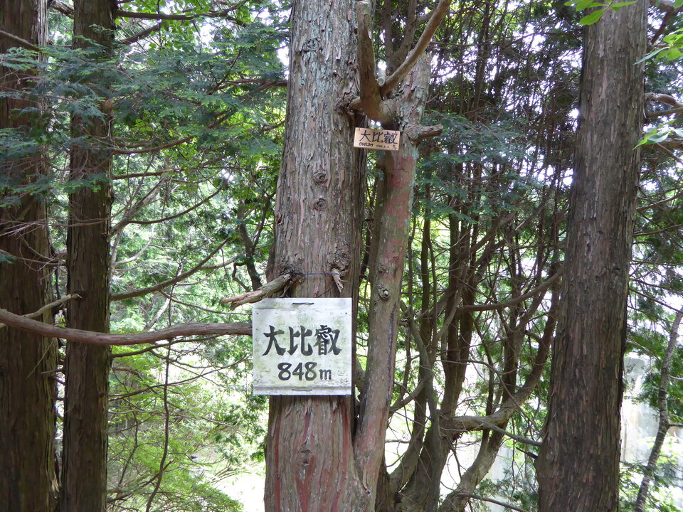P1050998_mid.jpg