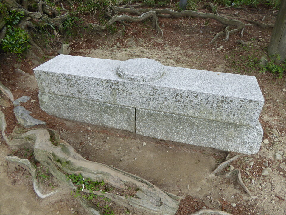 P1060032_mid.jpg