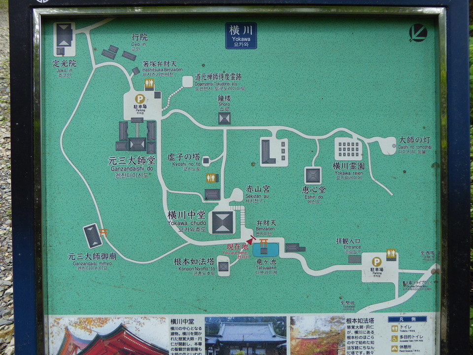 P1060063_mid.jpg