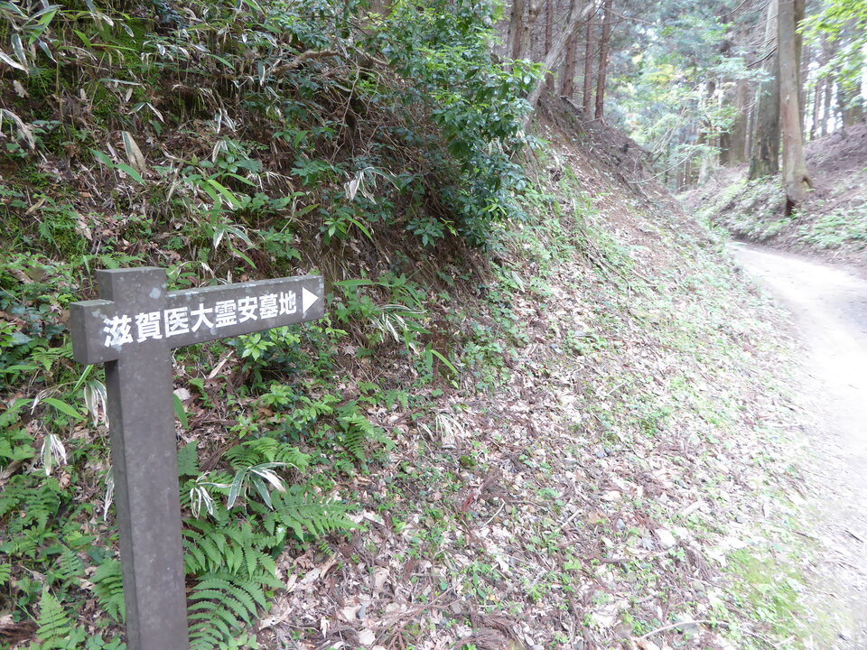 P1060081_mid.jpg