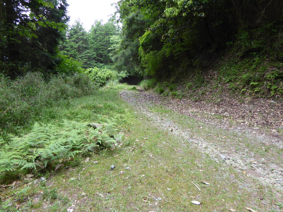 P1060109_mid.jpg