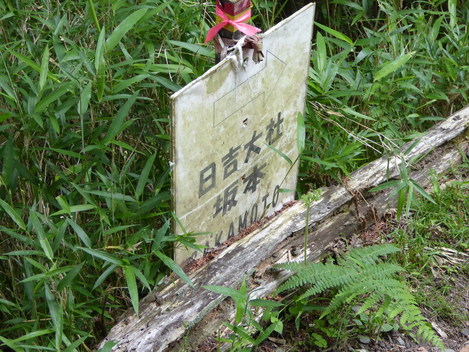 P1060115_mid.jpg