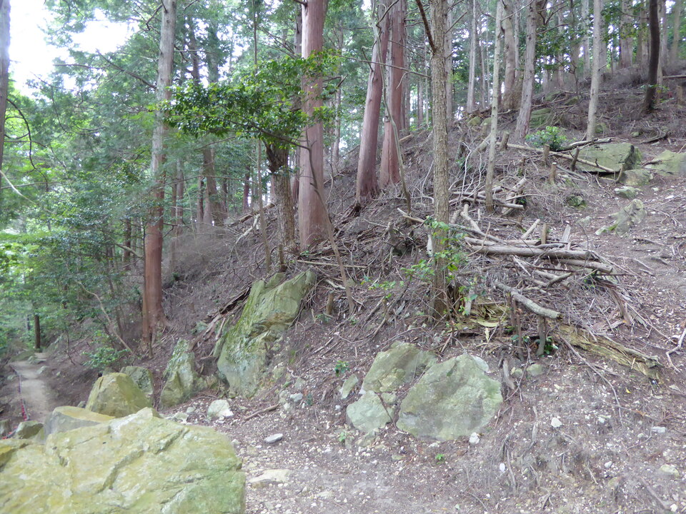 P1060144_mid.jpg