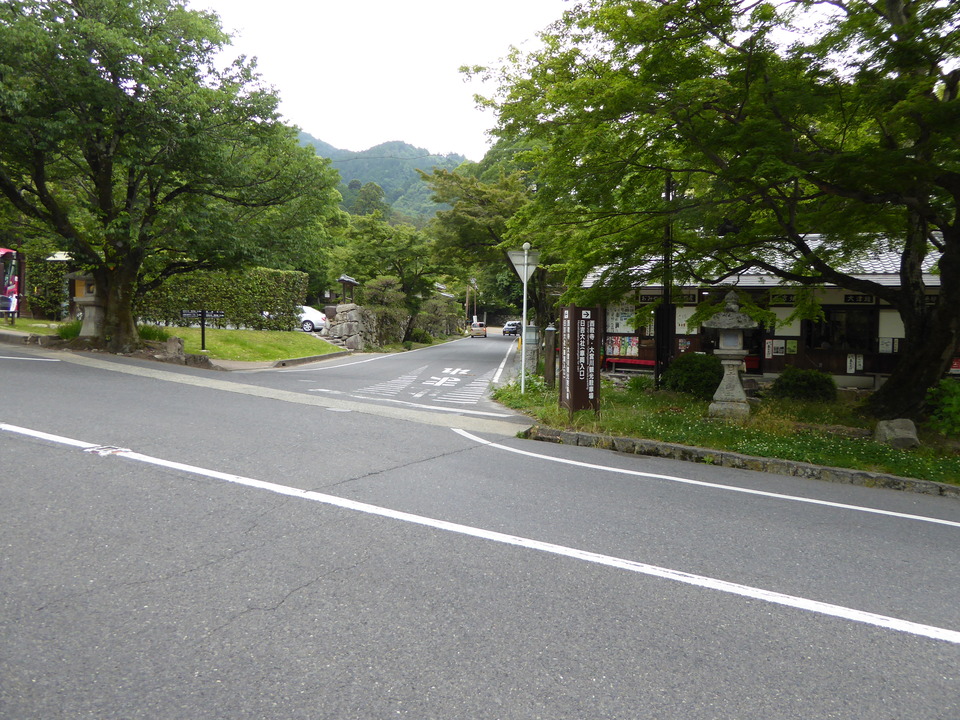 P1060181_mid.jpg
