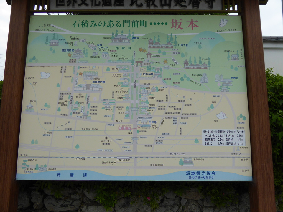 P1060183_mid.jpg