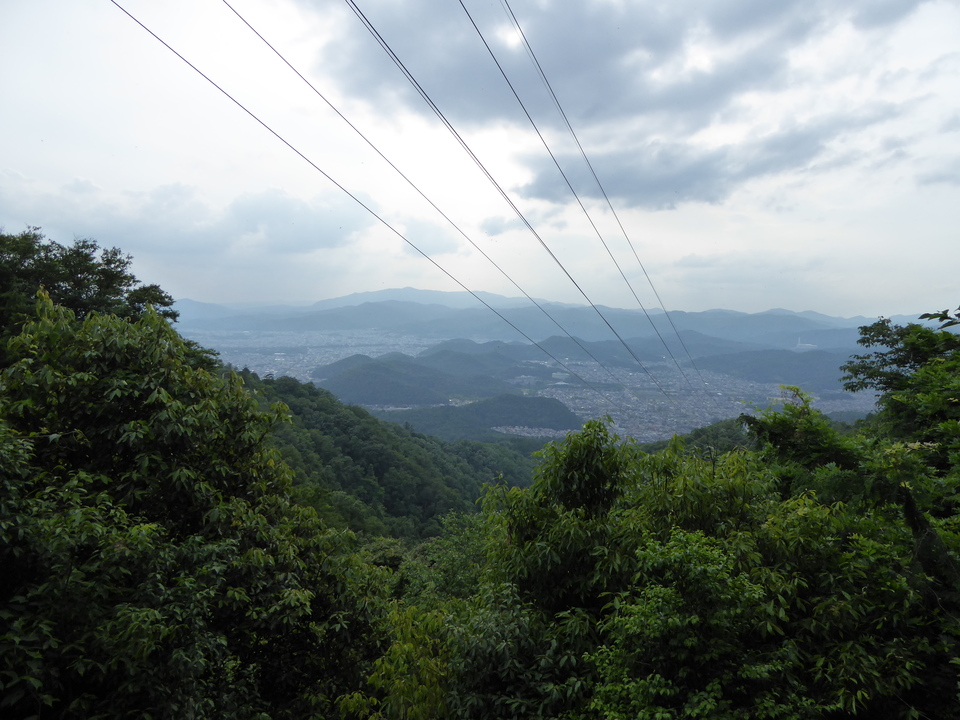 P1060203_mid.jpg