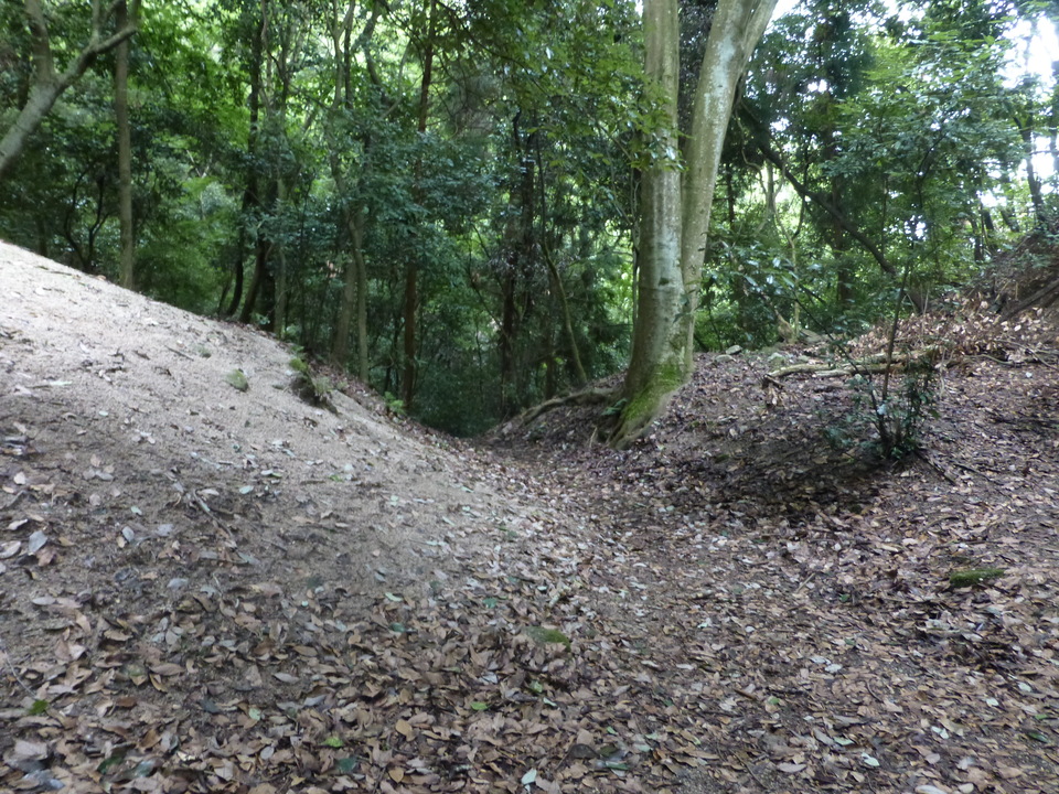P1070364_mid.jpg