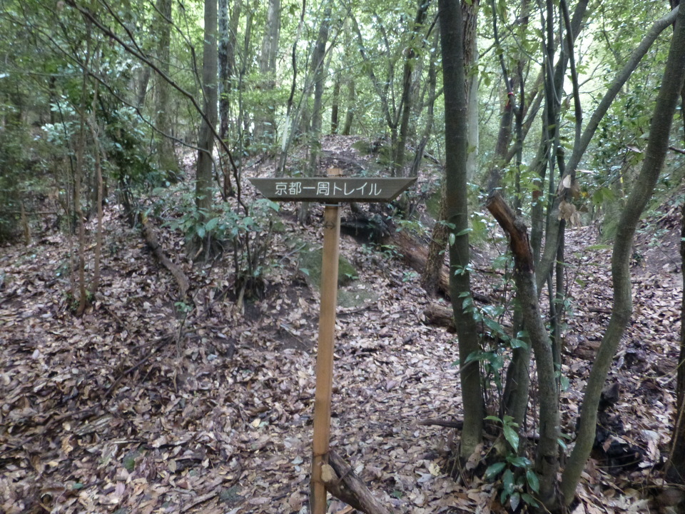 P1070367_mid.jpg
