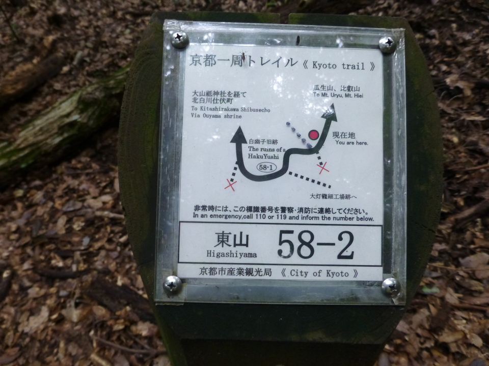 P1070369_mid.jpg