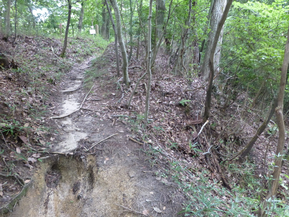 P1070374_mid.jpg