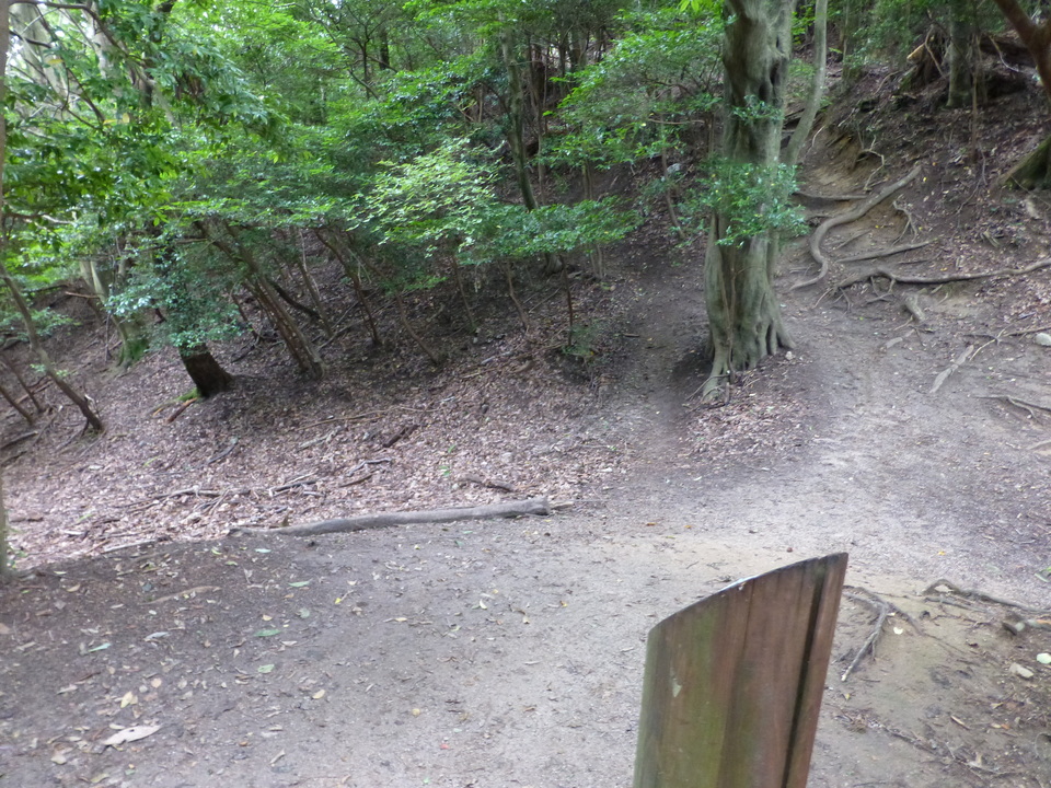 P1070388_mid.jpg