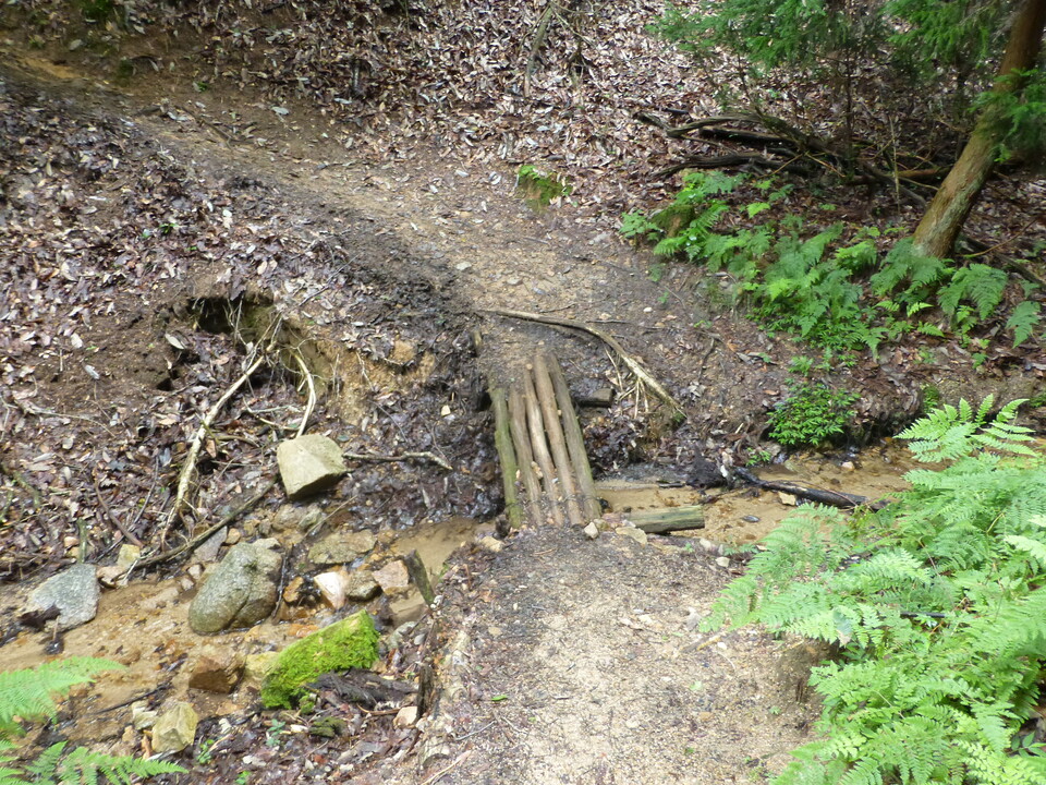 P1070394_mid.jpg