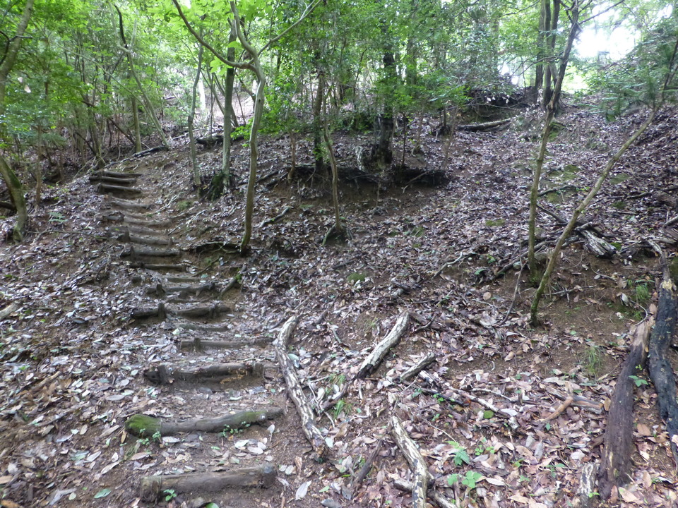 P1070400_mid.jpg