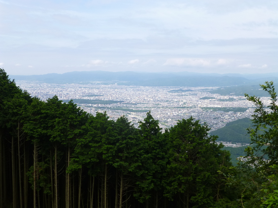 P1070414_mid.jpg