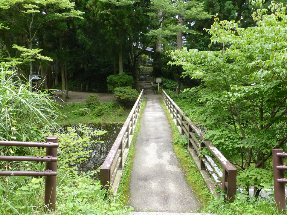 P1070431_mid.jpg