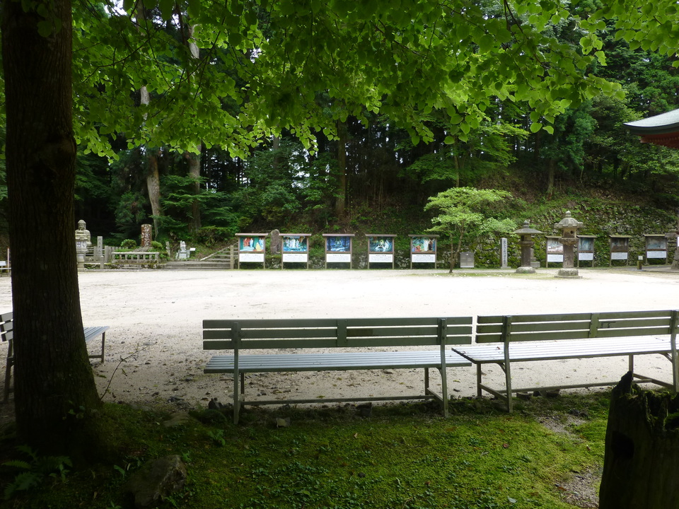 P1070434_mid.jpg