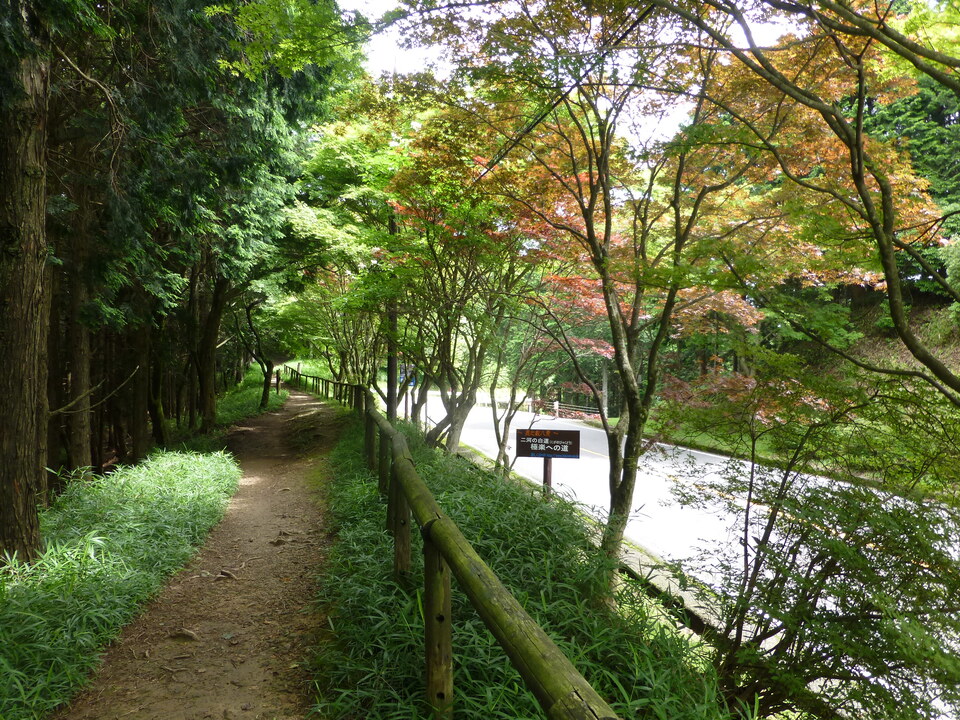 P1070440_mid.jpg
