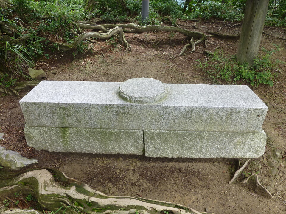 P1070448_mid.jpg