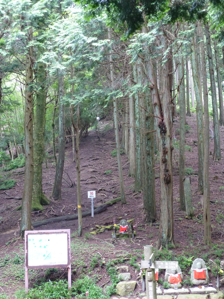 P1070453_mid.jpg