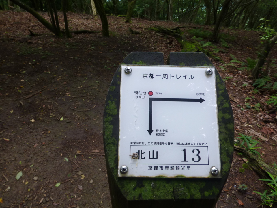 P1070461_mid.jpg