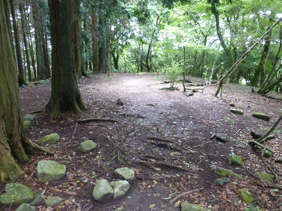 P1070465_mid.jpg